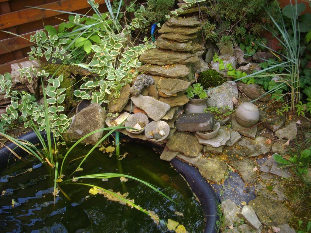 House Heviz Villa Dış mekan fotoğraf
